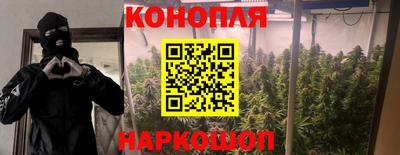 прущая мука Краснознаменск