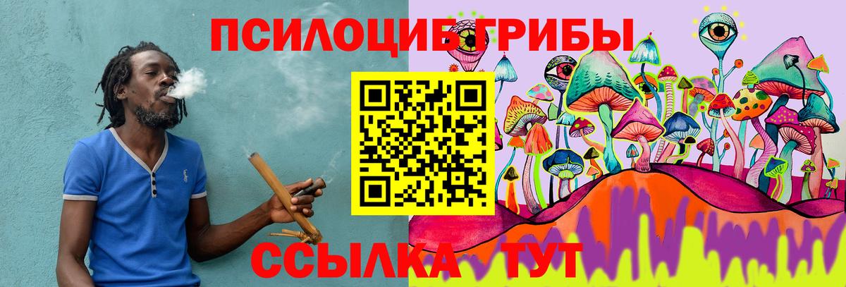 Псилоцибиновые грибы мицелий Котлас