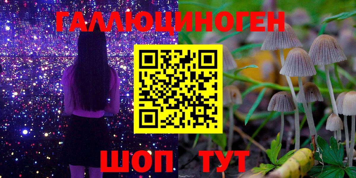 где купить наркотик  Вход с VPN  Галлюциногенные грибы Psilocybine cubensis  Котлас  Галлюциногенные грибы Cubensis 